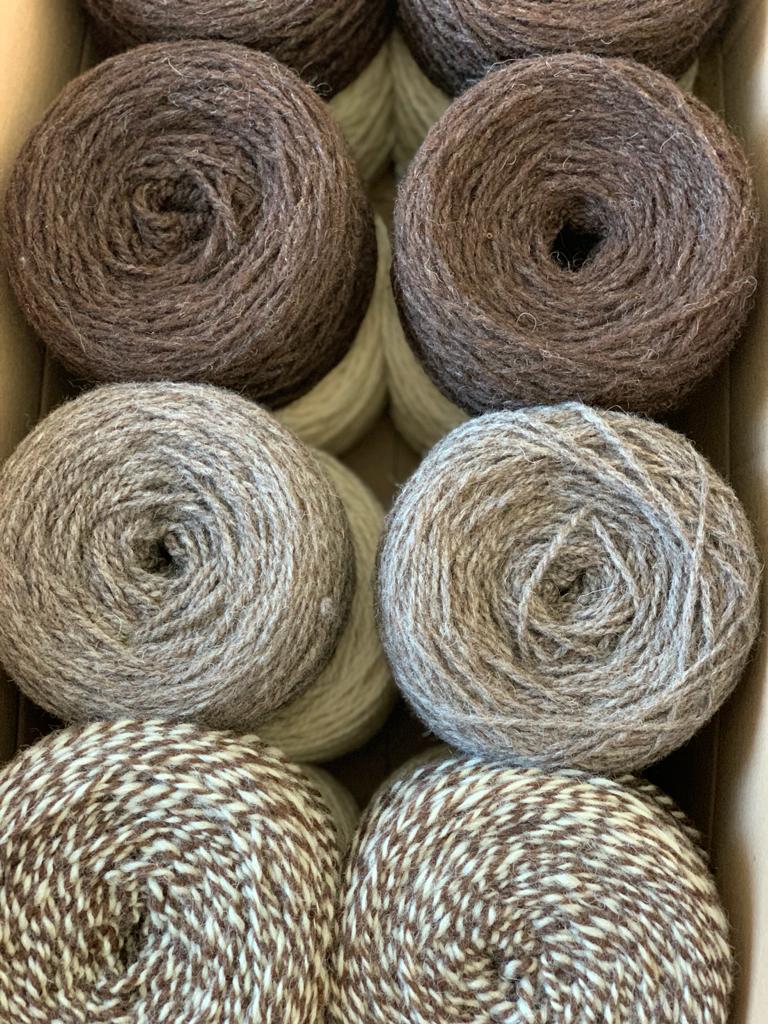 Sockenwolle Naturfarben 100% reine Schafwolle Hellbraun (6,10€/100g) – Bild 4