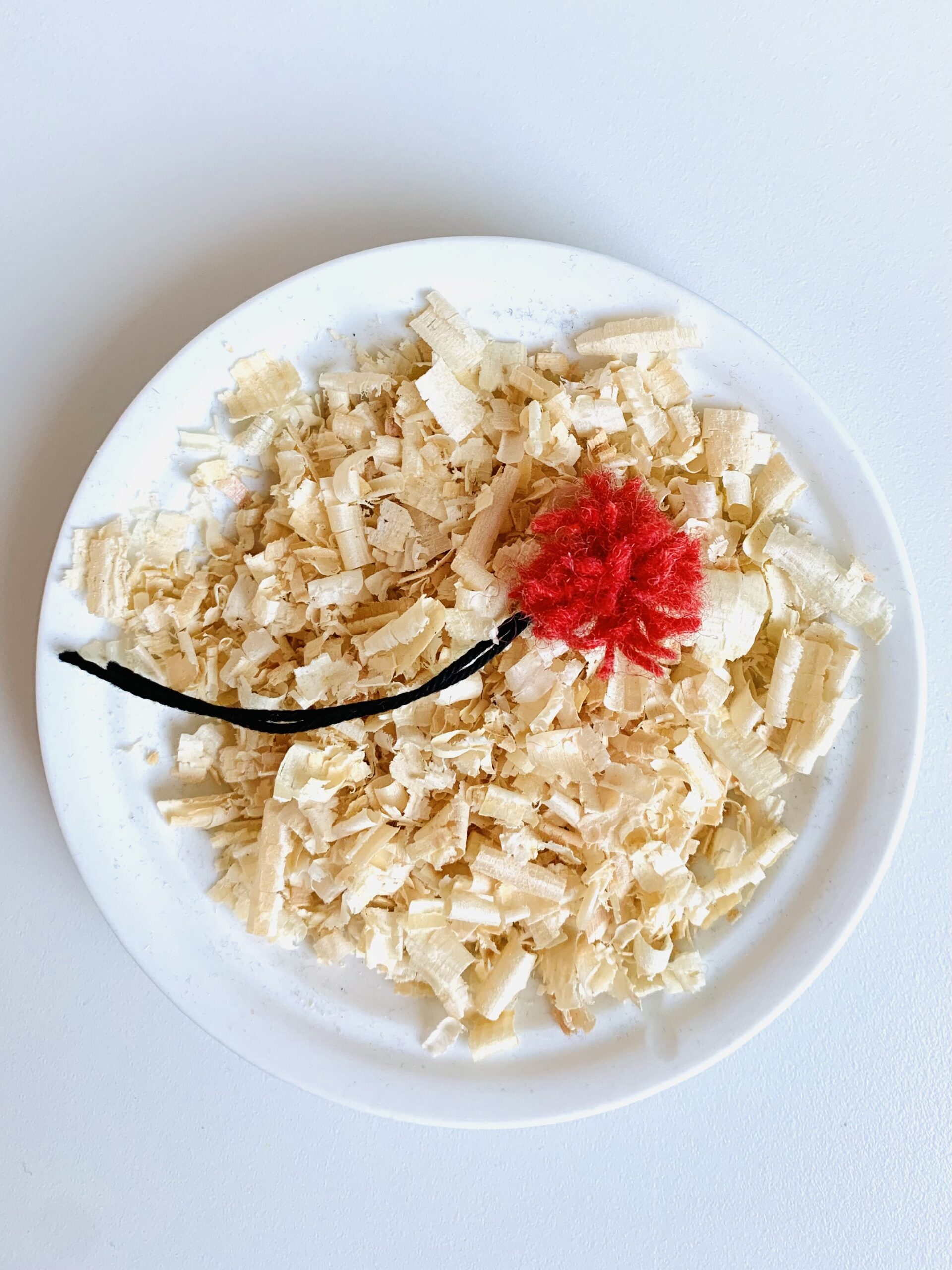 Duftende Zirbenspänen 25g – Bild 3